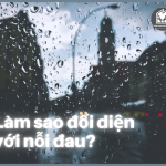LÀM SAO ĐỂ ĐỐI DIỆN VỚI NỖI ĐAU KHI BỊ PHẢN BỘI