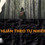 THUẬN THEO TỰ NHIÊN CÓ THỰC SỰ LÀ CÁCH SỐNG CỦA NGƯỜI TRÍ TUỆ?